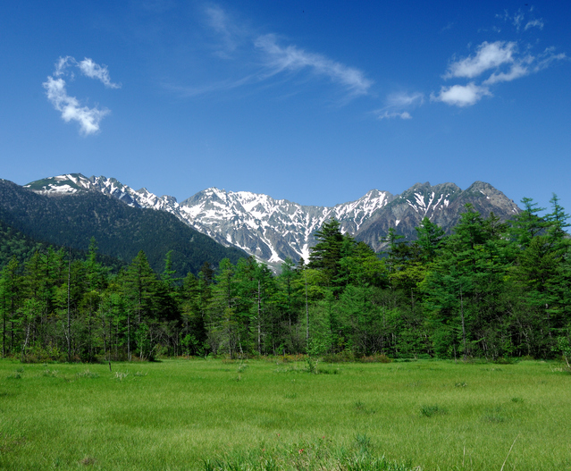 スピリチュアル, 占い, 悩めるオンナたち, 雑学