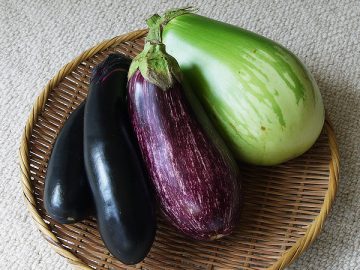 美容に嬉しい秋野菜、トースターでもっと美味しくなる。 秋茄子
