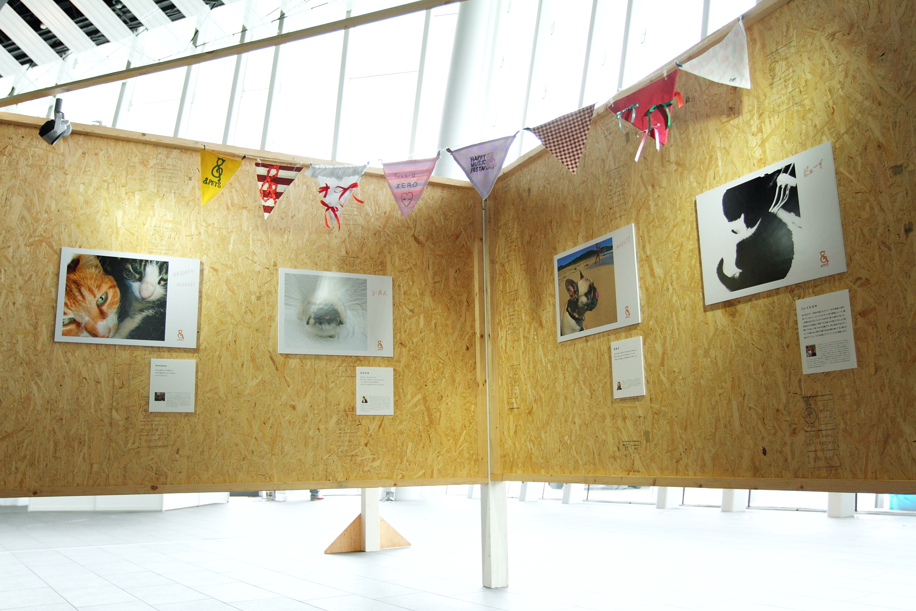 ペット,犬,猫,殺処分,HAPPY MUSIC FESTA