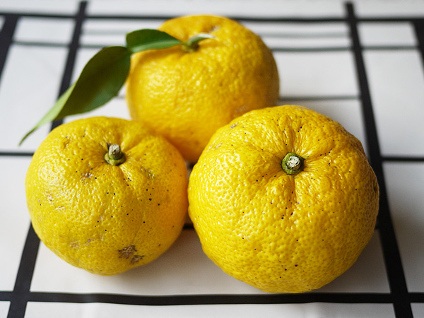 ショウガ風呂,生姜,柚子