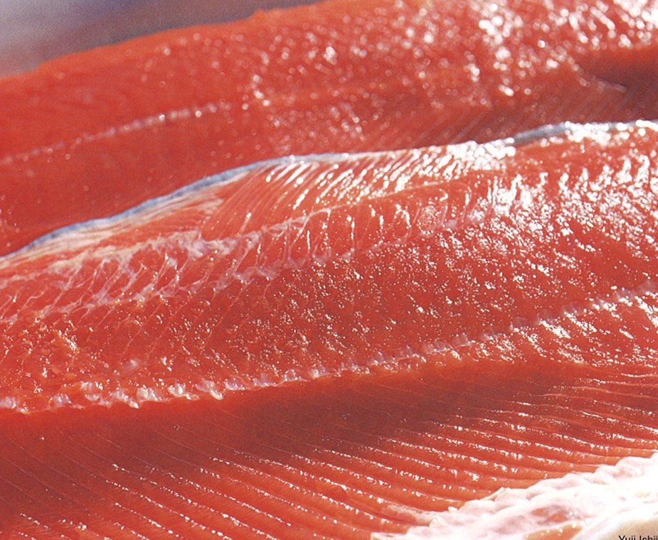 アラスカ,天然,サーモン