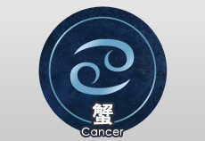 【2014年の運勢】蟹座