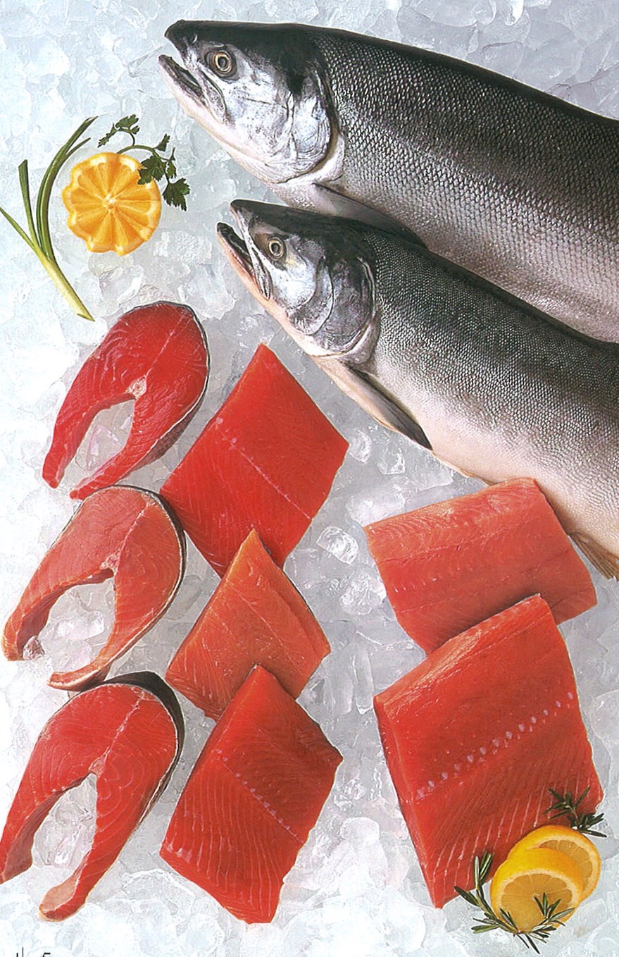 サケ,サーモン
