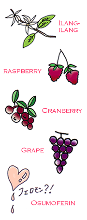 イランイラン花油、キイチゴ果汁、オスモフェリンなど
