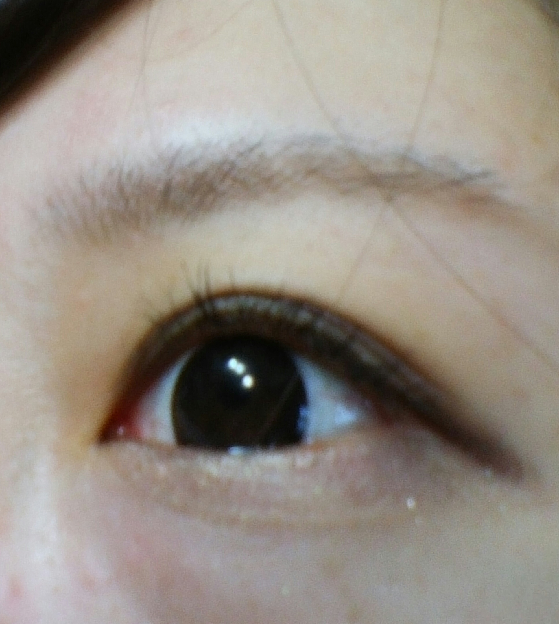 マスカラ塗りたてのまつげ