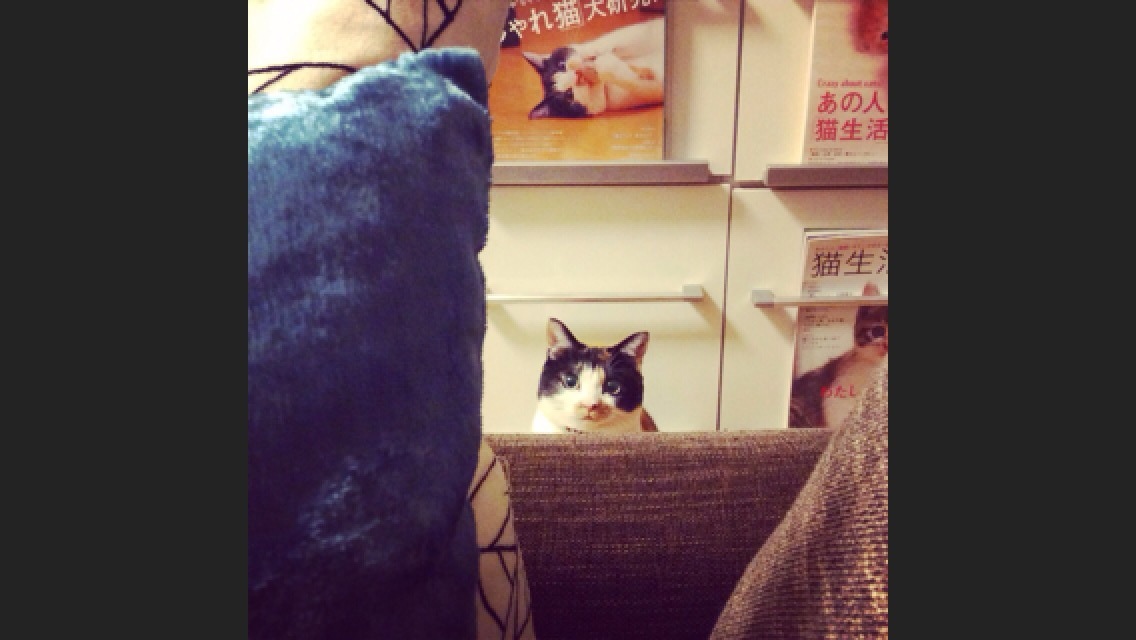 ここっ、おれのうちっ