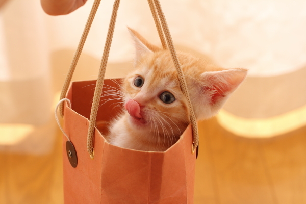 どこに出かけよう♪ 2