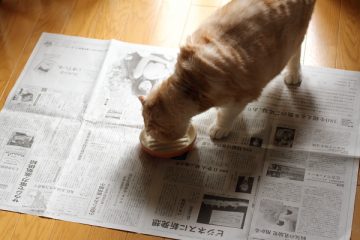 そして逮捕される側へ 3