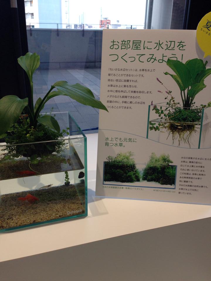 小さな水辺セット（3）