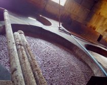 ヤマロク醤油（1）