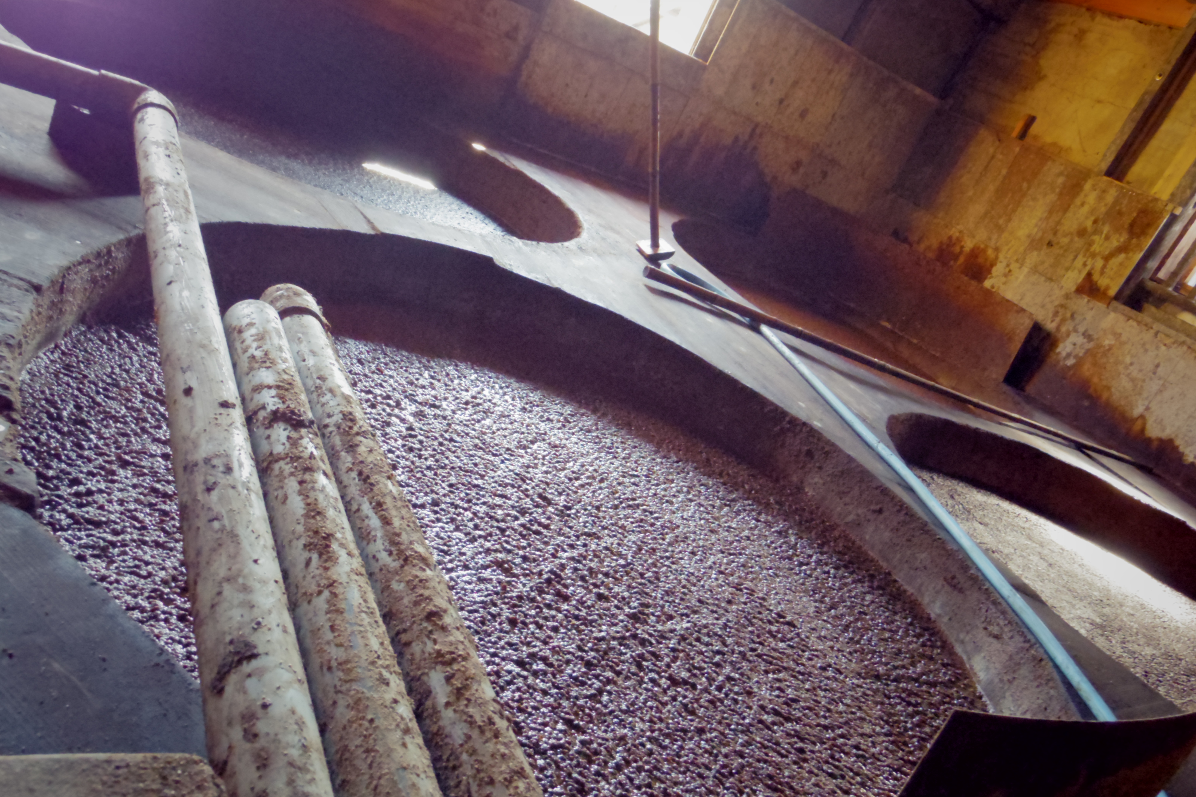 ヤマロク醤油（1）