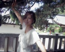 井上こんと宝正院の樹齢1600年以上の真柏（しんぱく）