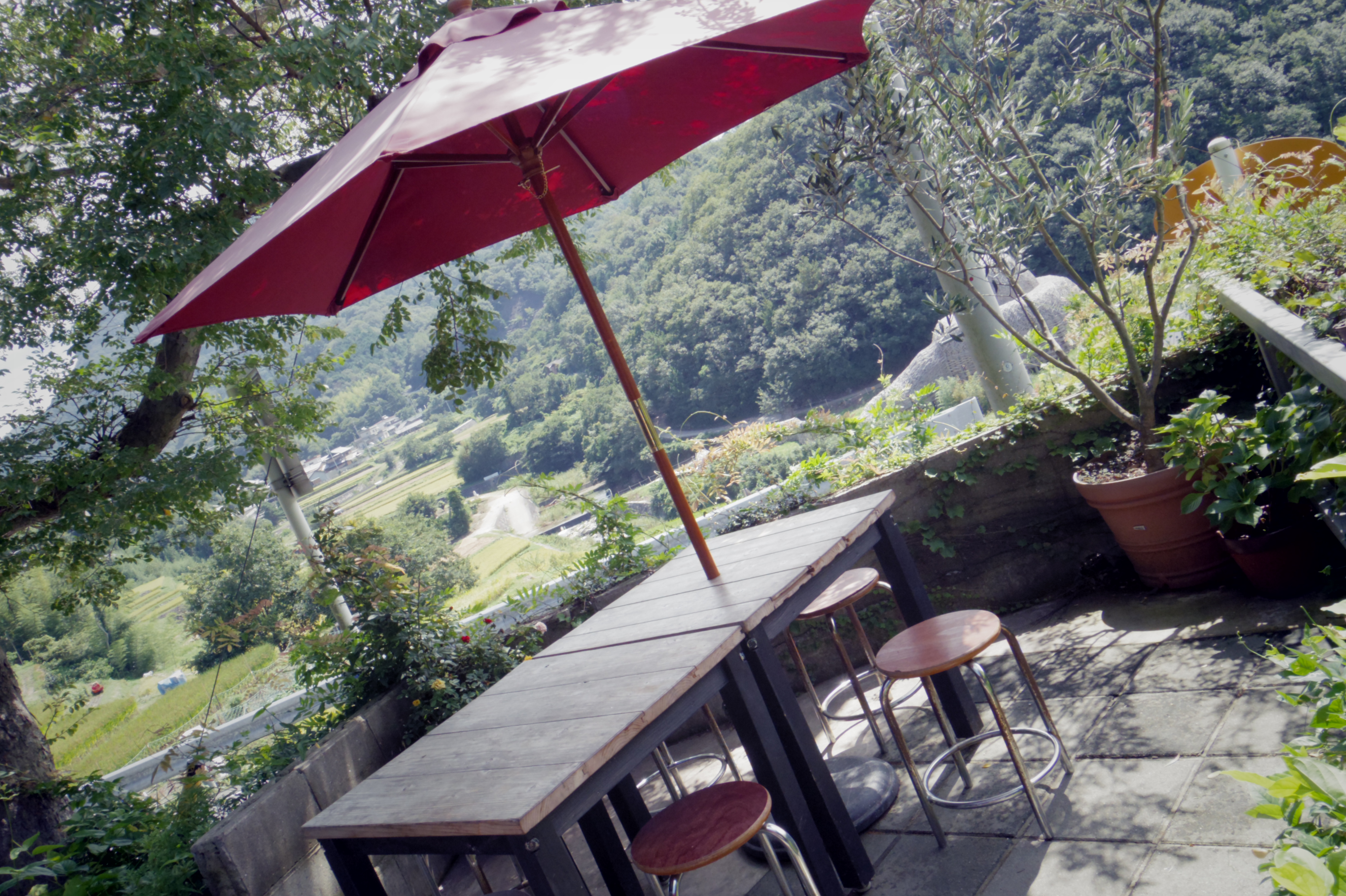 古民家を改装した人気店「こまめ食堂」