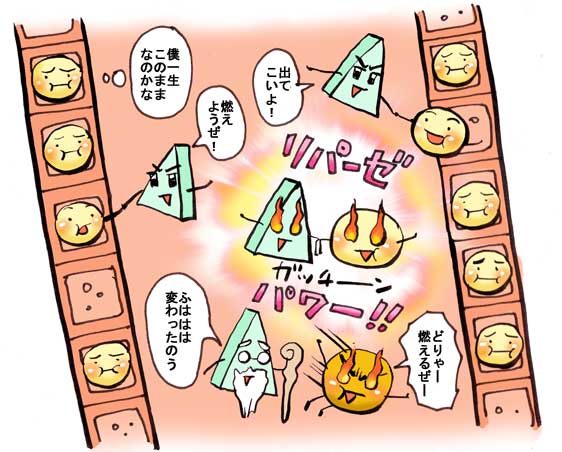 イラスト解説：脂肪分解酵素「リパーゼ」の働き
