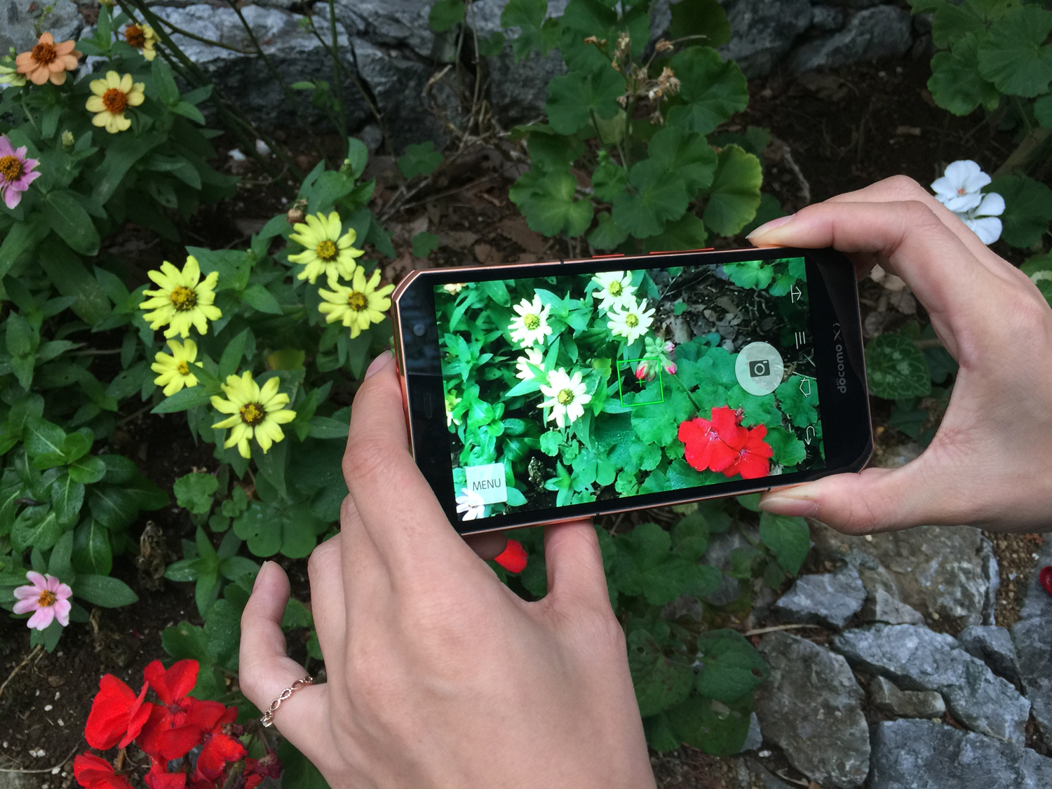 ARROWS NX F-02Gで撮影した花をディスプレイで見る