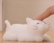 花王 ソフィーナクッション泡洗顔料 WEB動画（1）