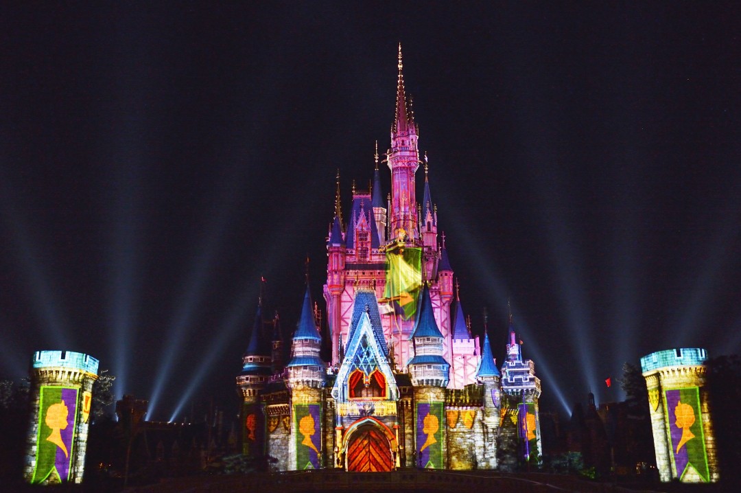 TDL：アナとエルサのフローズンファンタジー（1）