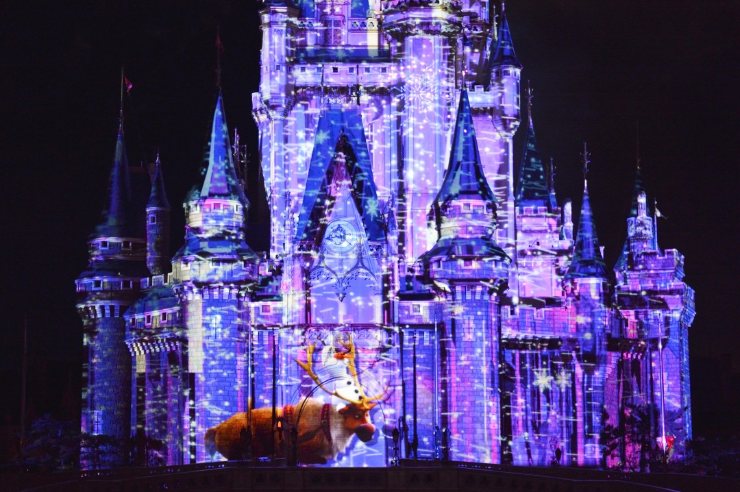 TDL：アナとエルサのフローズンファンタジー（3）