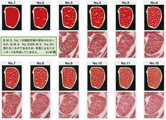 牛肉の格付3