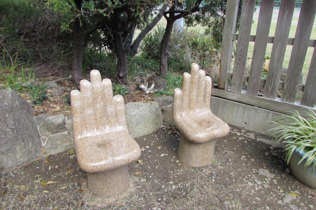 手の椅子とネコ