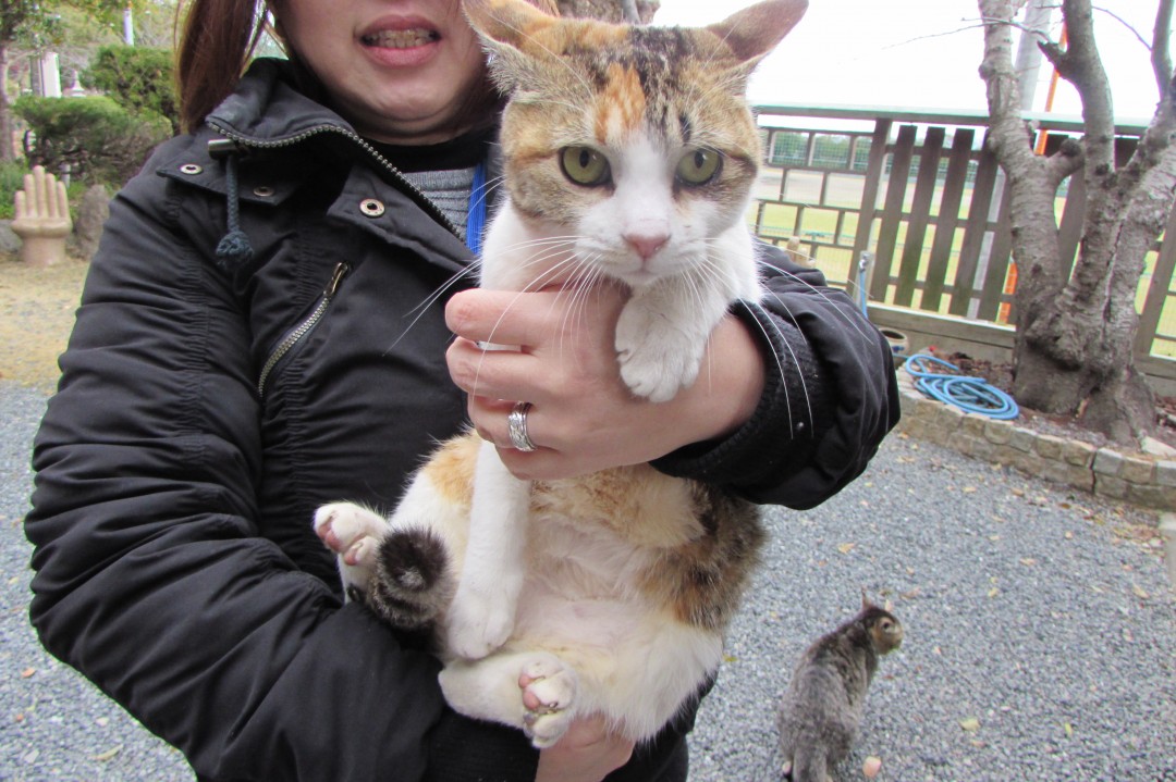 入口で抱っこされるペコ