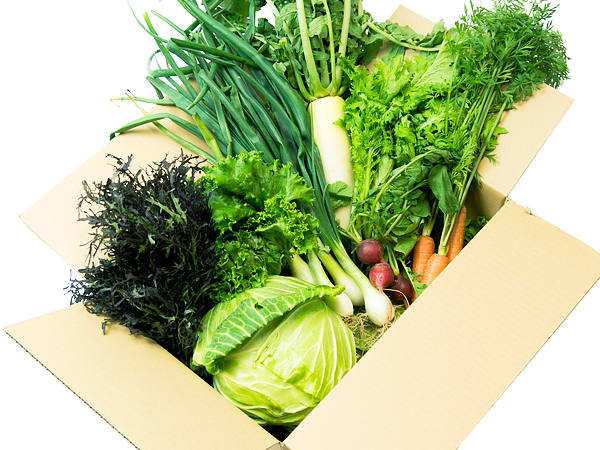 お取り寄せ野菜・果物