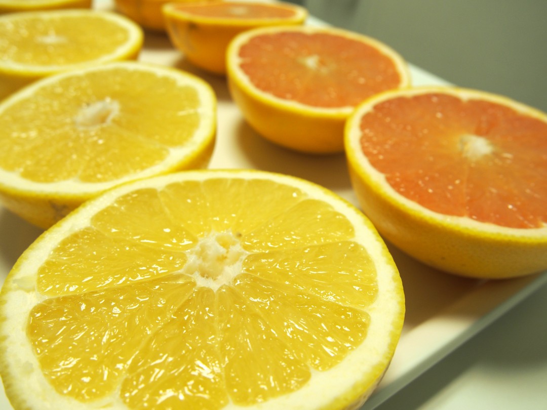 フロリダ産のグレープフルーツ、ホワイト（左）とルビー