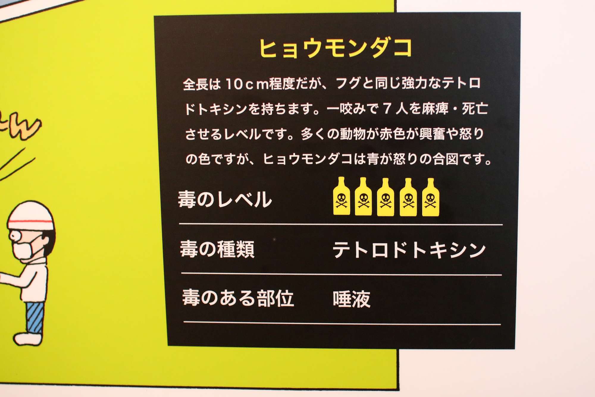 ヒョウモンダコの毒の説明