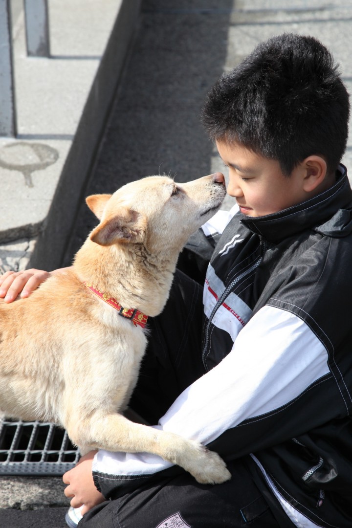 熊本市動物愛護センターの譲渡会