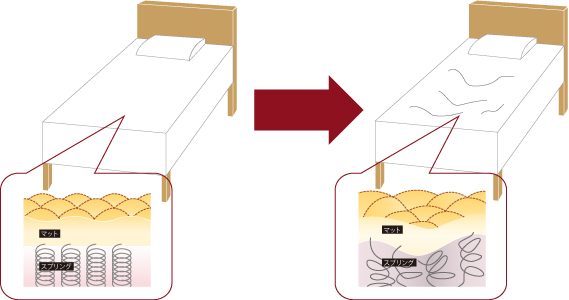形をつくるコラーゲン、弾力をつくるエラスチン