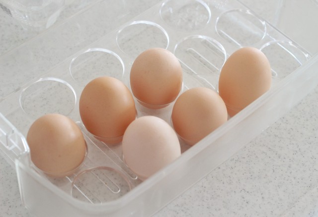 タマゴパック_ドアポケット2