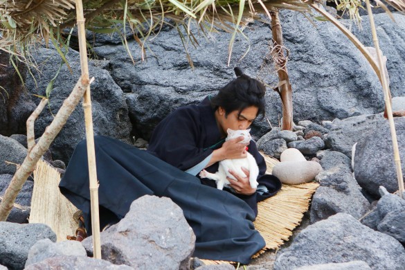 『猫侍 南の島へ行く』より_6