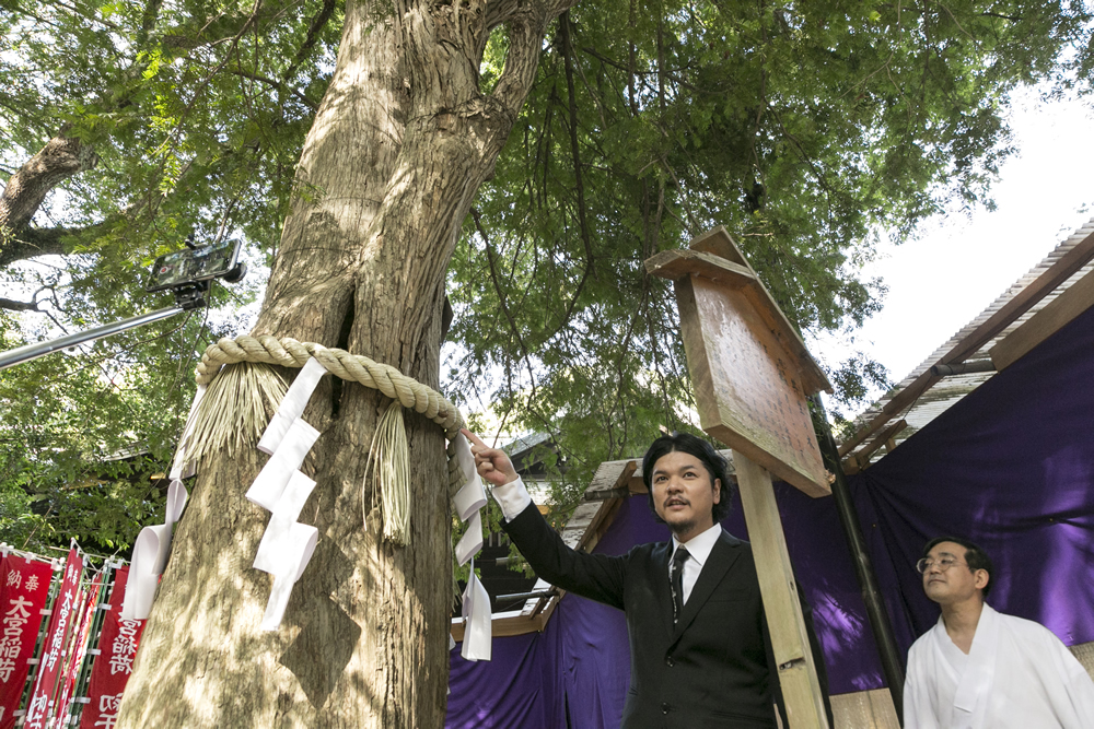 パワースポット_大宮八幡宮_共生の木