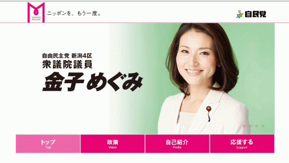金子恵美議員HP 金子恵美議員HP