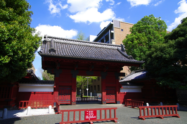 東京大学