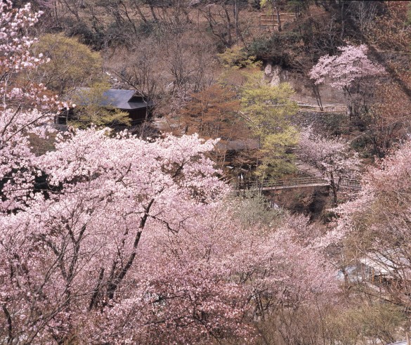 宝川温泉汪泉閣 宝川温泉汪泉閣