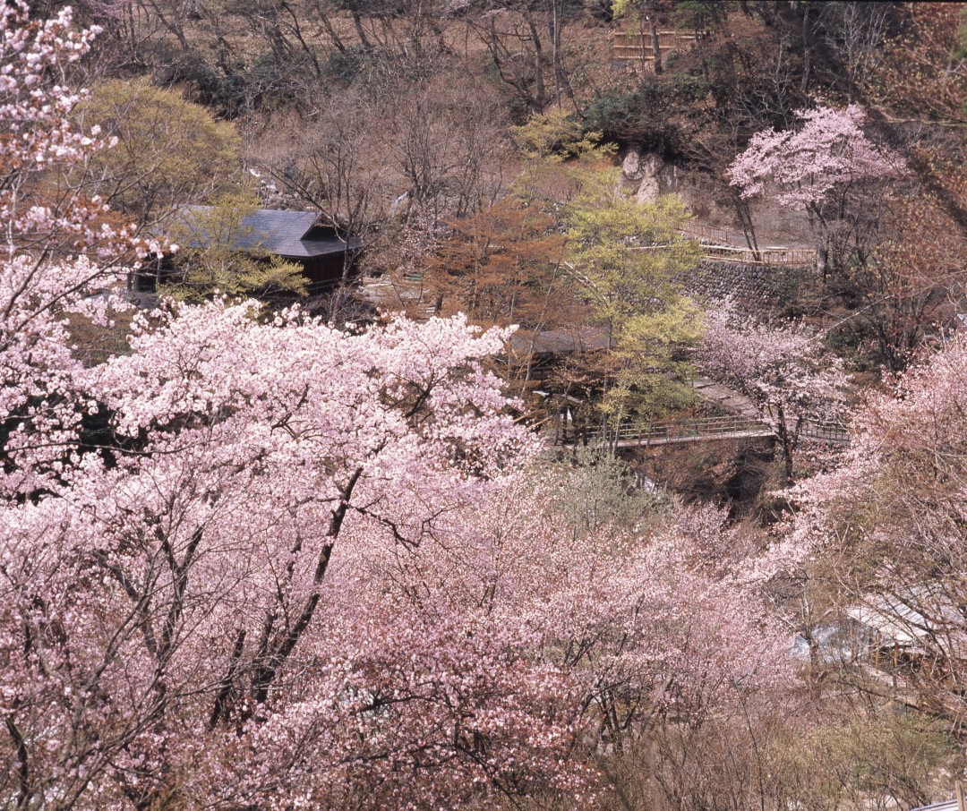 宝川温泉汪泉閣