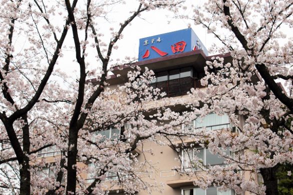 ホテル八田HPフォトギャラリーより ホテル八田HPフォトギャラリーより