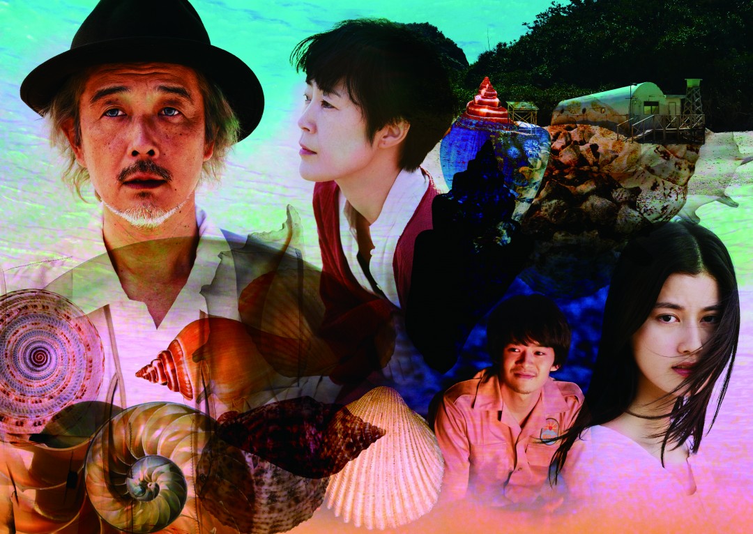 『シェル・コレクター』より