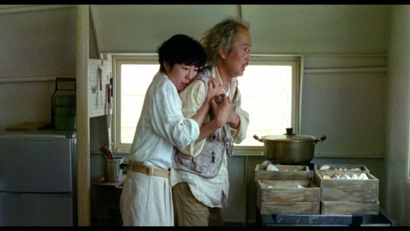 『シェル・コレクター』より_4 『シェル・コレクター』より_4