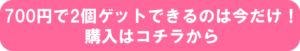 700円で2個ゲットできるのは今だけ！ 購入はコチラから