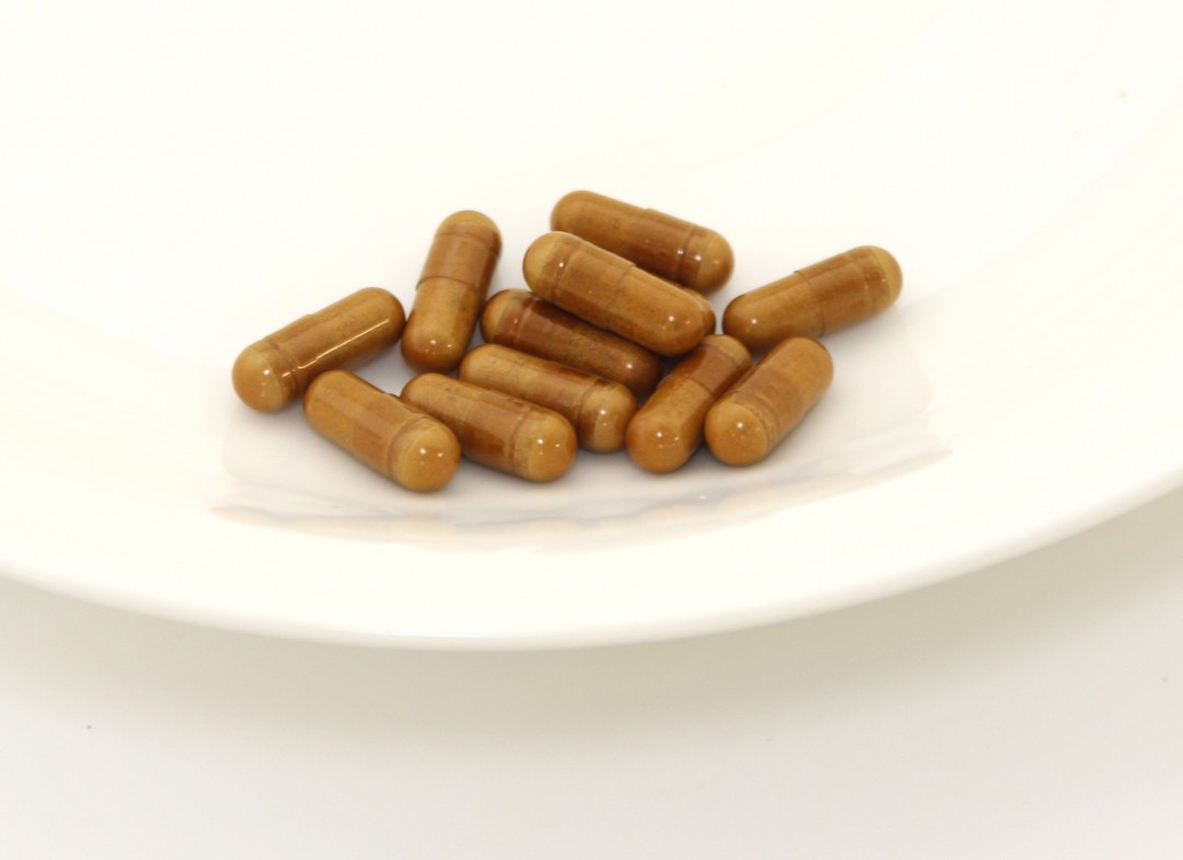 メディパラソル