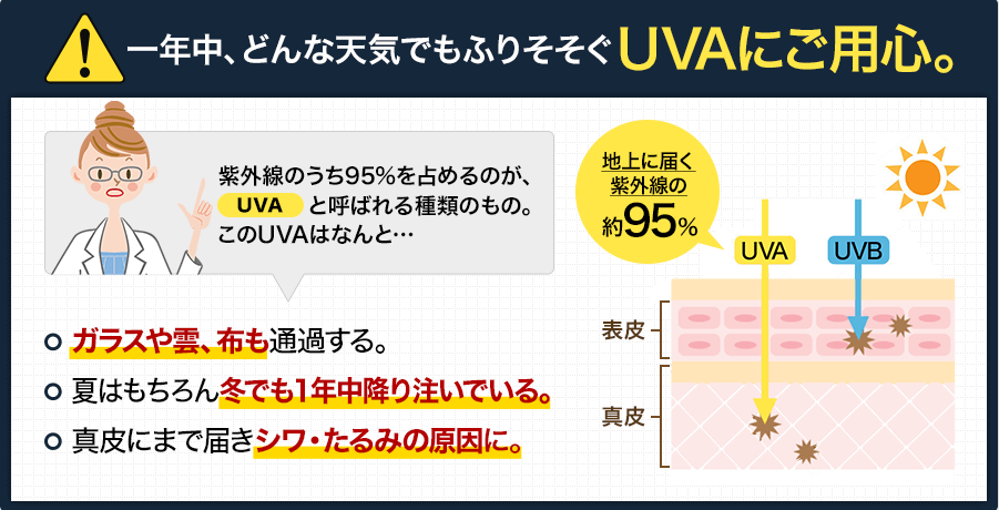 メディパラソル