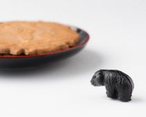 これくらいのサイズ感