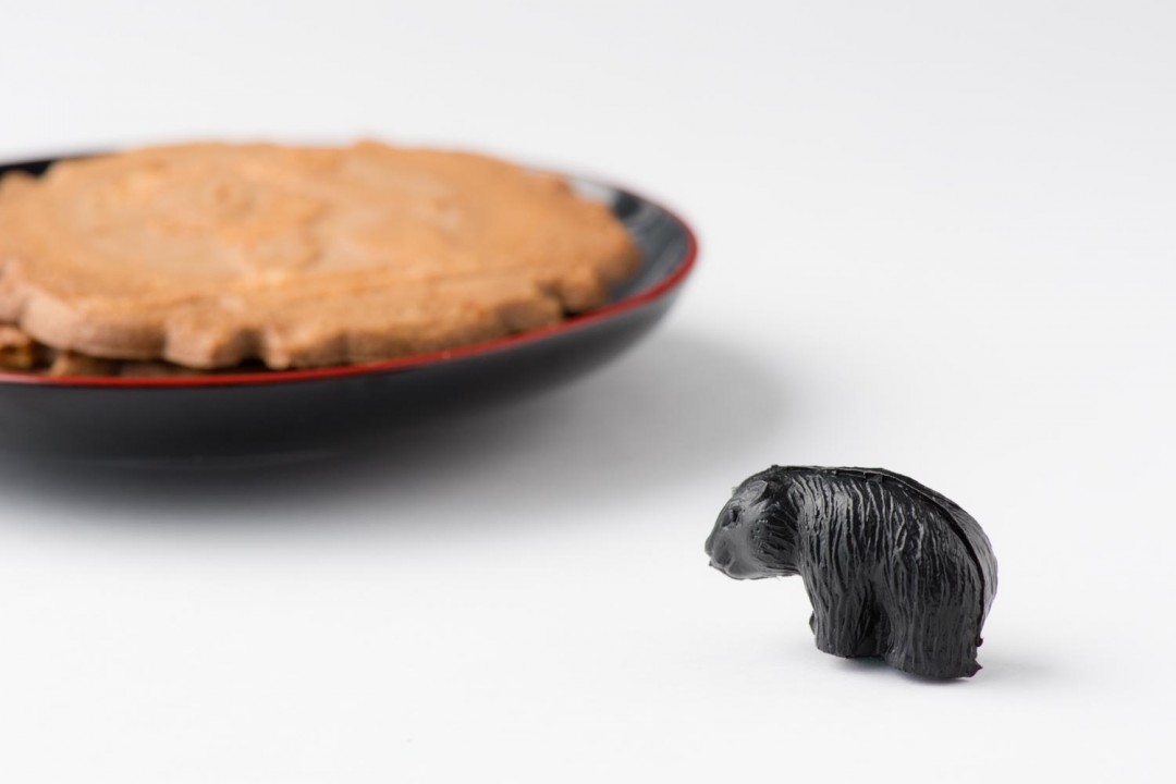 これくらいのサイズ感