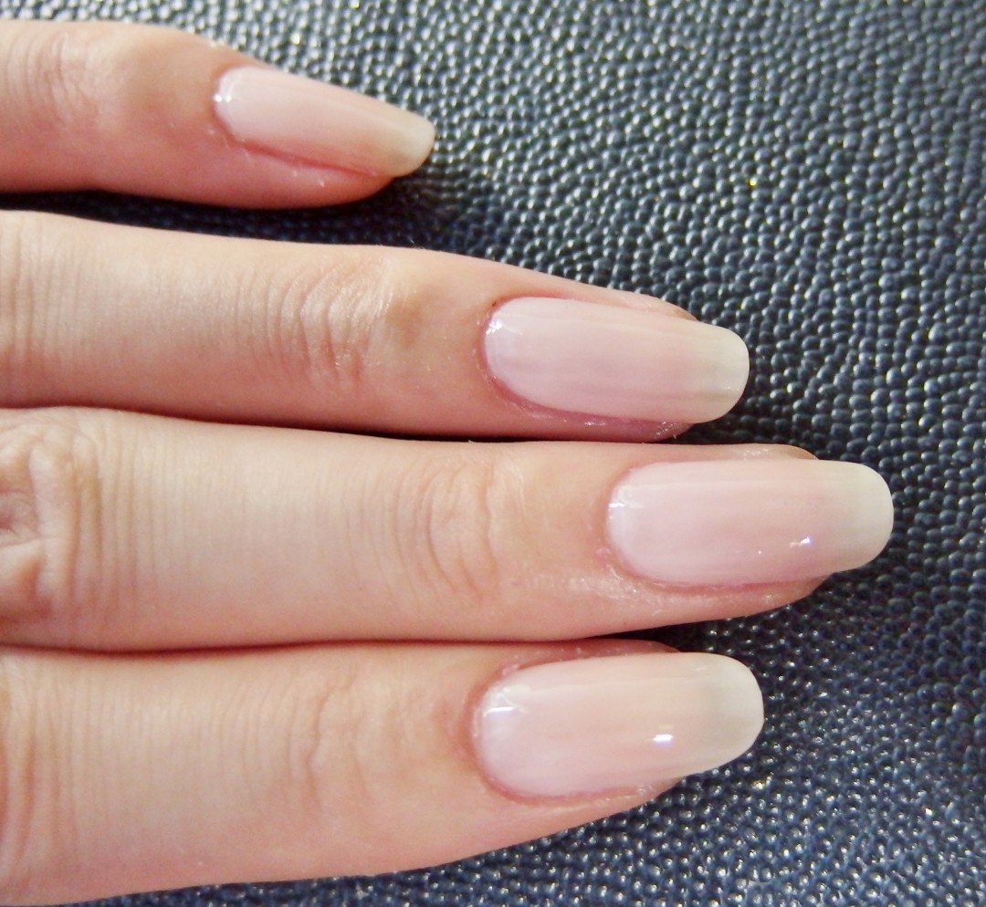 シアートップ塗布後