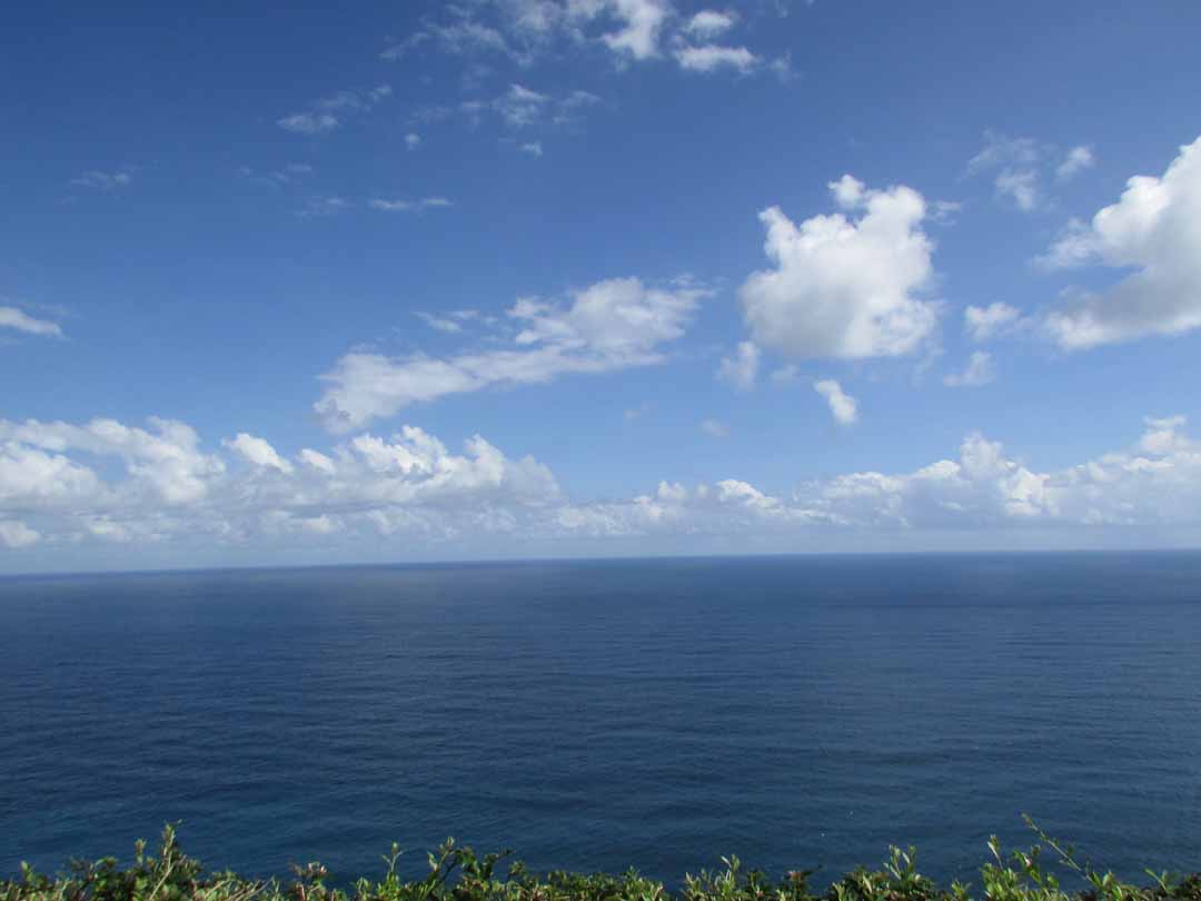 施術ルームからの眺め