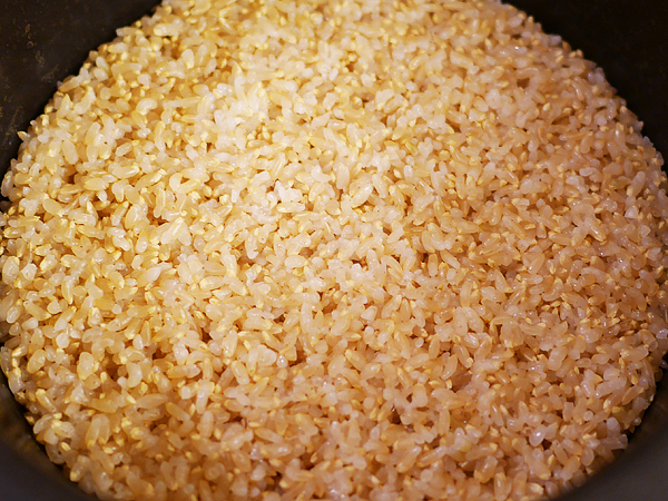 金のいぶき炊飯器