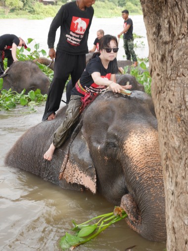 象の水浴び 象の水浴び
