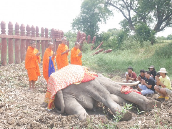 象さんのお葬式